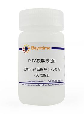 RIPA裂解液(强)  碧云天P0013B 白鲨BL504A