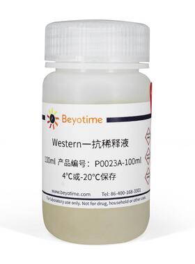 Western一抗稀释液 P0023A