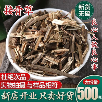中药材 陆英 纯野生接骨草  排风藤 臭草 八棱麻 走马箭