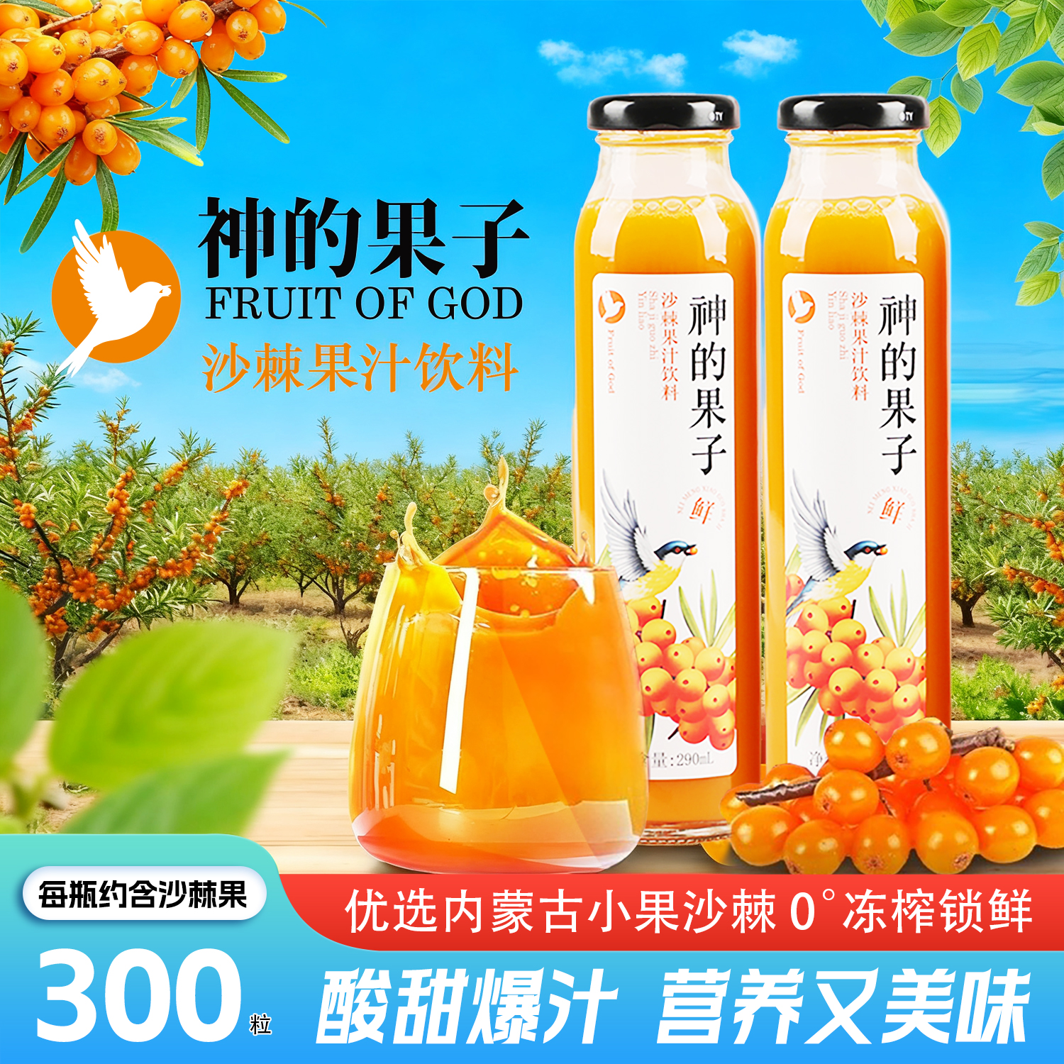 内蒙古特色沙棘果汁饮料礼盒装