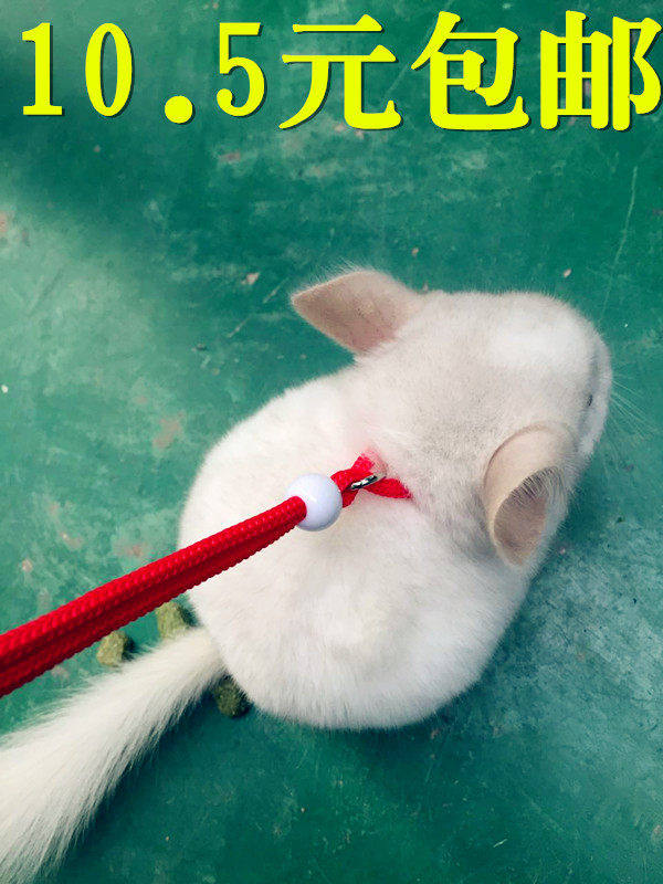 包邮龙猫牵引绳小宠训练绳拴貂牵引绳豚鼠荷兰猪遛弯绳兔子链子