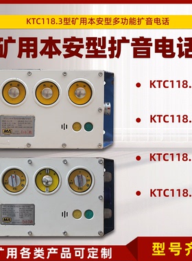山东大齐KTC118.3(B)矿用本安型多功能扩音电话KTC118.3(A)