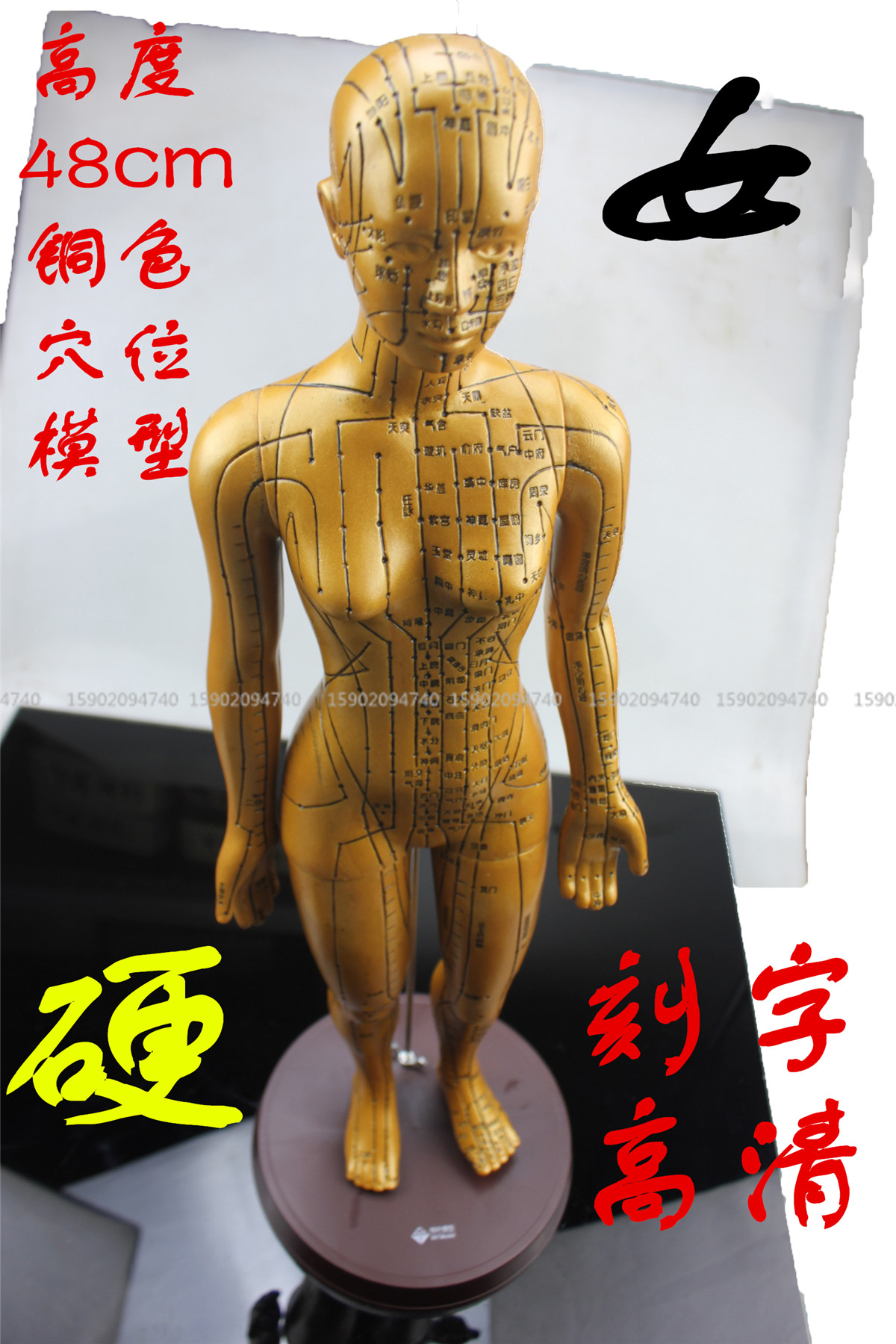 针灸人体模型针灸小人拔罐医用针灸铜人刻字经络通超清晰穴位女模