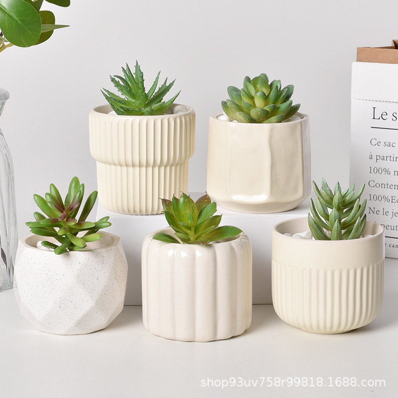 陶瓷花盆创意多肉圈圈花盆简约肉肉盆桌面摆件花盆陶瓷