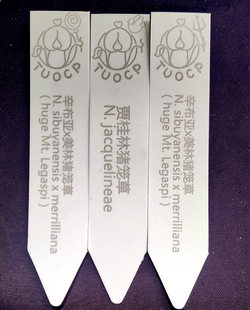 定制订制园艺多肉标签牌园艺植物花名花盆塑料标签防水小插牌多肉