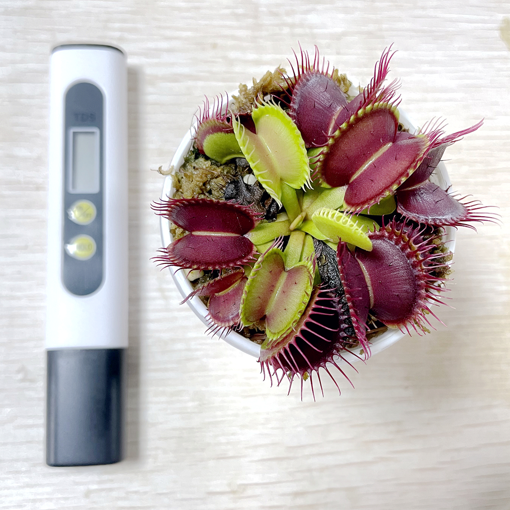 自来水TDS水质检测笔矿物质笔tds笔TDS水质测试笔水质软硬测试笔