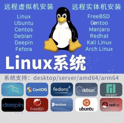 IKUAI、ROS、PVE、ESXI、群晖，emby配置安装 linux系统排错