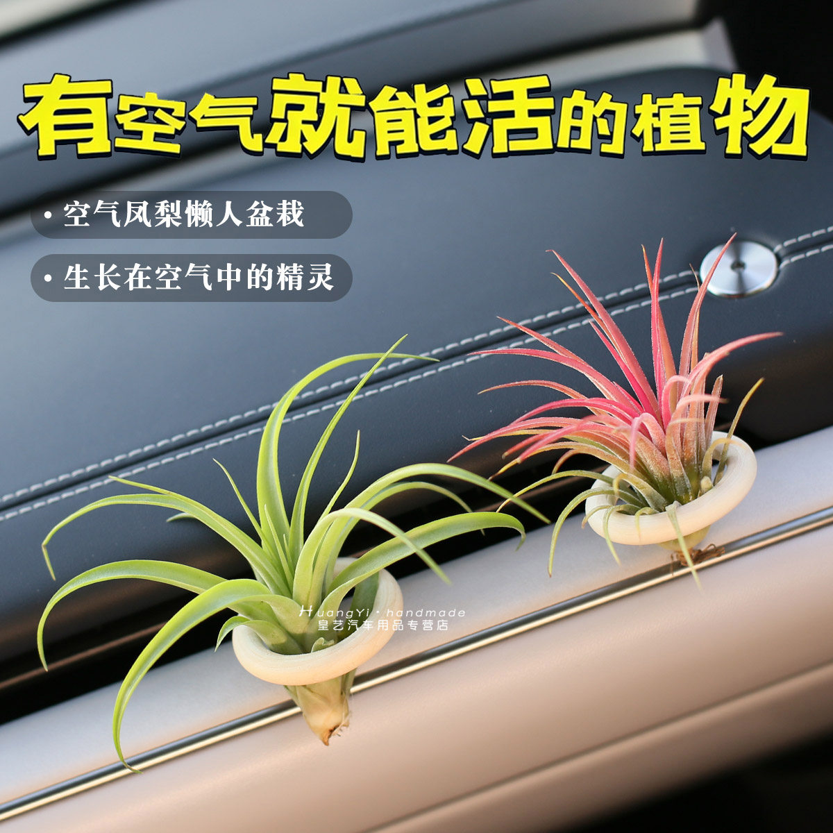 车载风口创意装饰空气凤梨无土栽培室内办公家居盆栽摆件耐寒耐冻,汽车用品/电子/清洗/改装,摆件,淘宝优惠券,粉丝福利购,淘宝优惠卷