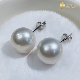 超大颗澳白天然海水珍珠耳钉耳环18k金粗钉南洋白珠耳饰正圆强光
