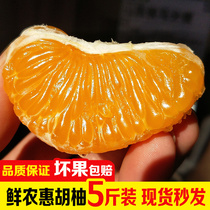 20年新货常山胡柚5斤精品当季新鲜时令天然维C水果柚子黄心葡萄柚