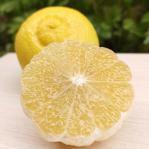 鲜农惠黄金贡柚精选5斤新鲜水果春香桔柚丑柚子纯甜小柚子象山青