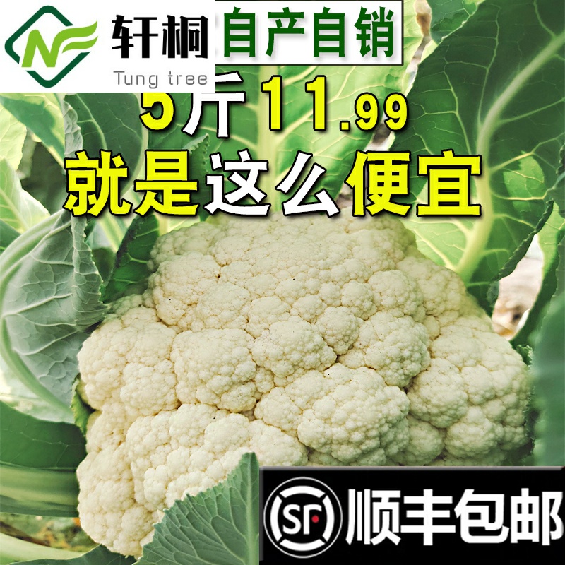 有机菜花价格 有机菜花图片 星期三 有机菜花价格 有机菜花图片 星期三