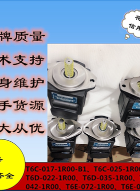 派克高压油泵T7BS E22 1R00 A1M0丹尼逊叶片泵T6C-025-2R02-B1