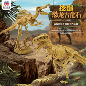 考古教室恐龙DIY拼装 骨架仿真腕龙骨骼化石模型儿童益智挖掘玩具