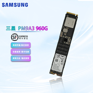 22110 固态硬盘 M.2 三星 MZ1L2960HCJR 960G 接口 00AMY PM9A3