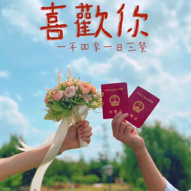 结婚拍照领证登记小清新仿真手捧花影楼婚纱摄影道具粉白混搭花束