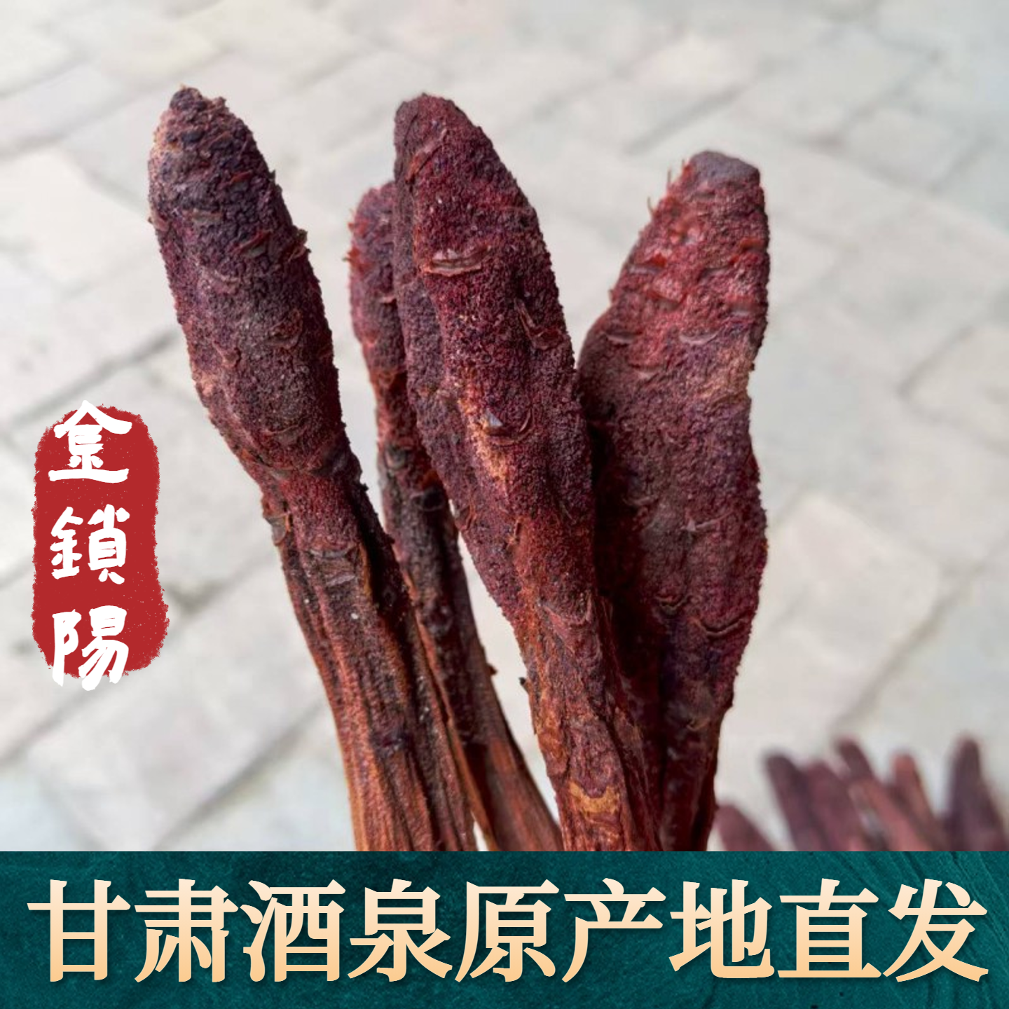 甘肃金锁阳阿拉善肉苁蓉泡酒料男