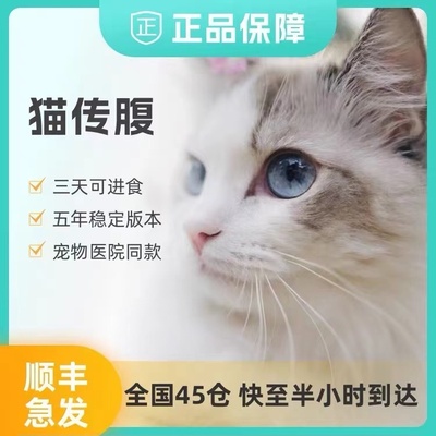 猫传腹针剂干性湿性抑制剂油性水性消腹水FIPV传染腹膜炎传腹救助