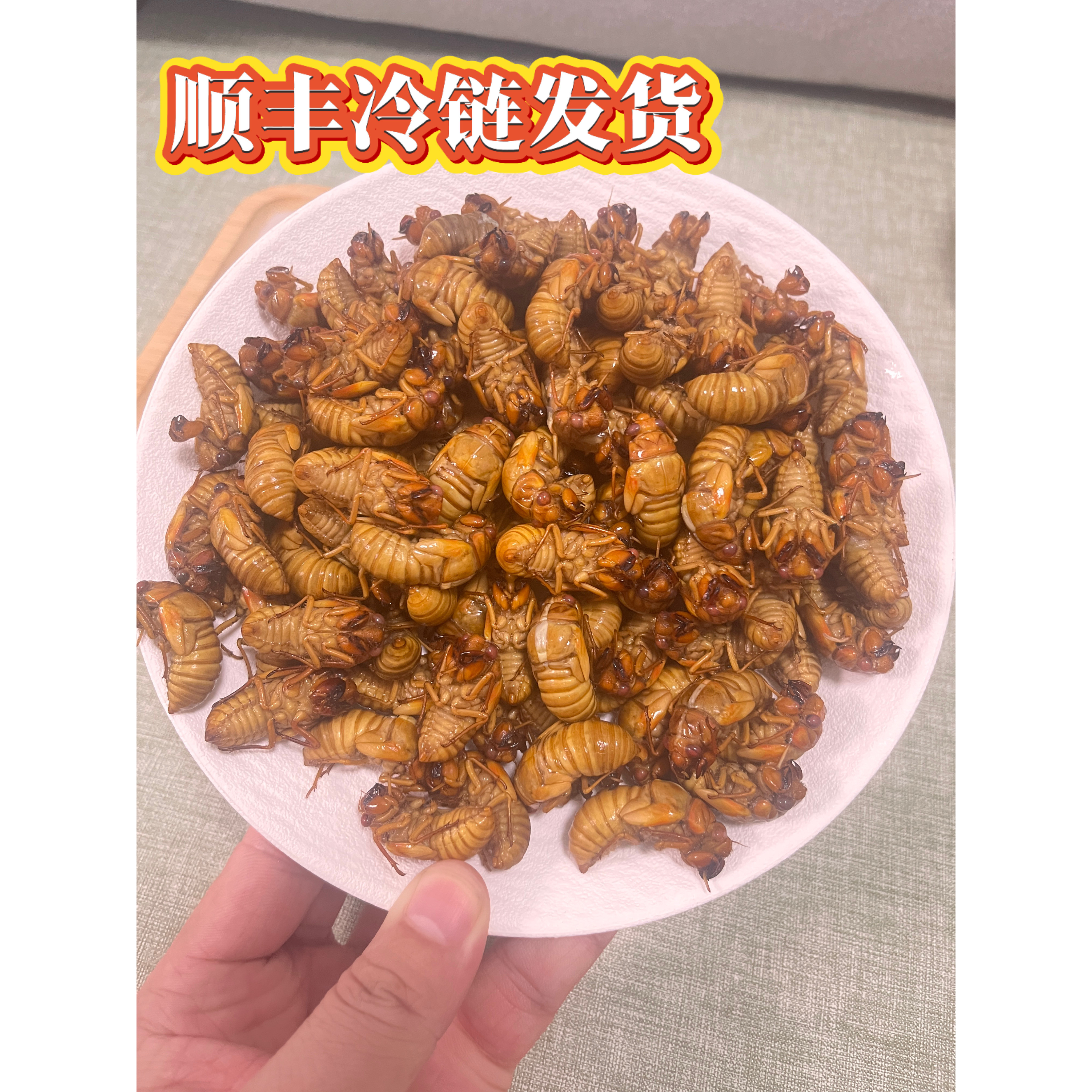 知了猴金新鲜特产2026鲜活结了非蚕蝉蛹冷冻大爬叉猴知了猴生鲜