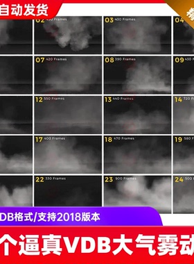 c4d逼真VDB烟雾雾气雾气vdb云层白云大气动画3d模型blender 3dmax