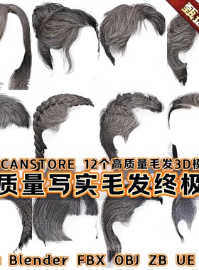 12款高质量帅哥美女地中海头发插片毛发多种格式模型3DScanStore