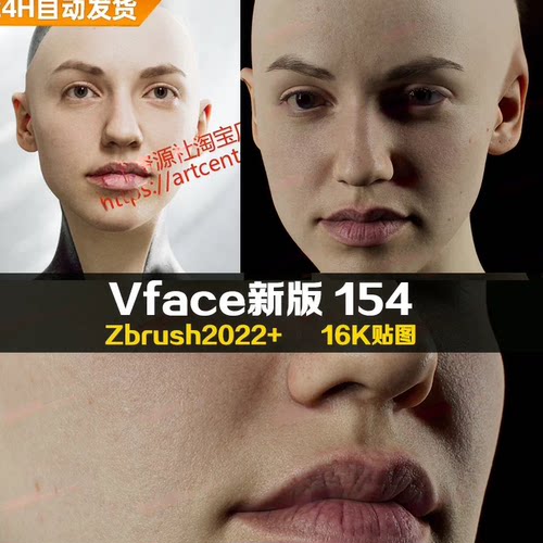 XYZ/Vface新版ZBrush写实高清扫描模型头16K皮肤Metahuman贴图161