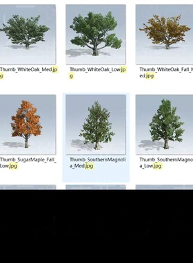 speedtree树库植物灌木素材库模型源文件11GB