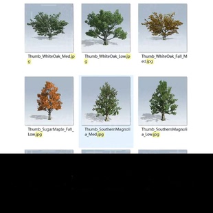 speedtree树库植物灌木素材库模型源文件11GB