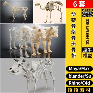 OBJ C4D动物骨架骨头骨骼Rhino犀牛SU blender 3dmax模型MAYA FBX