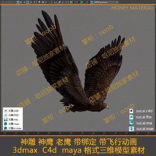神鹰 神雕 老鹰猛禽带骨骼绑定带飞行动画c4d 3dmax maya三维模型