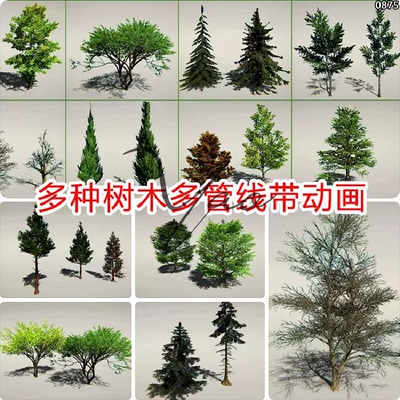 unity3d常用树库动态树木资产模型库动画植物松树素材包/urp/hdrp