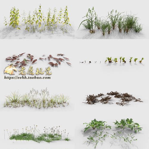 花草植物野杂草落叶苔藓3D模型 C4D/Maya/Max/Blender/UE5格式