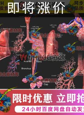 3D模型FBX医学结构解剖肺部解刨呼吸系统LUNGS人体器官PBR材质