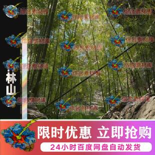 山林古风竹竿竹林岩石3d场景植物植被模型FBX/blend可导maya/max
