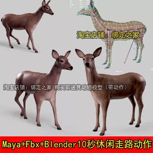blender小鹿模型maya獐子傻狍子带10秒动画fbx麂子3d林麝走路动作