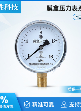 YE-100 16kPa 膜盒压力表 燃气压力表 锅炉通风压力表 苏州轩胜