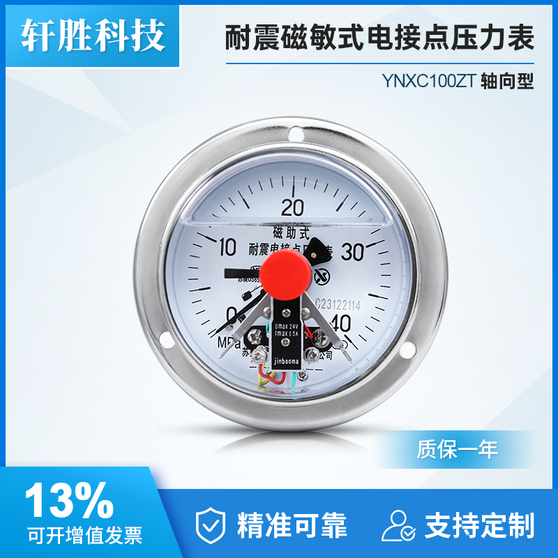 YNXC100ZT磁敏式轴向耐震电接点