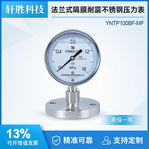 YNTP100BF-MF耐震不锈钢隔膜表