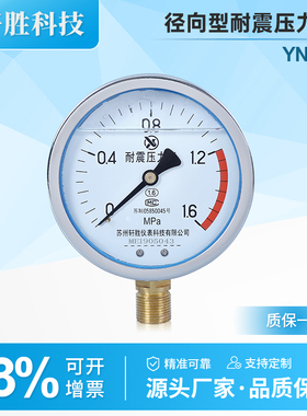 YN100 1.6MPa 耐震压力表 抗震压力表 防振压力表  苏州轩胜仪表