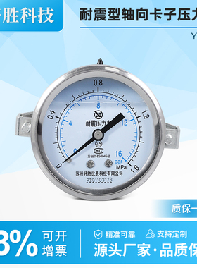 YN60Z轴向卡子表 面板式 支架安装 不锈钢外壳抗震动 耐震压力表