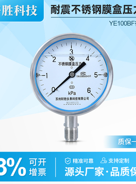 YNE100BF 6kPa全不锈钢膜盒表 耐震不锈钢膜盒压力表 苏州轩胜