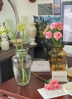 Moment Future法式复古玻璃花瓶桌面水培插花器简约广口大小众