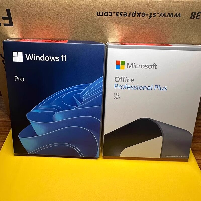 正版Windows11专业版U盘Win11Pro企业版工作站中英