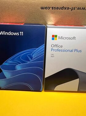 正版Windows11专业版U盘Win11Pro企业版工作站中英文繁体多国语言