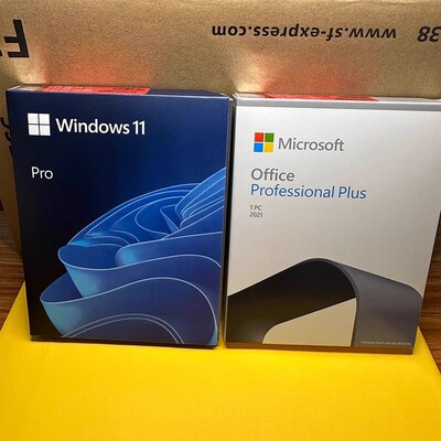 正版Windows11专业版U盘Win11Pro企业版工作站中英文繁体多国语言
