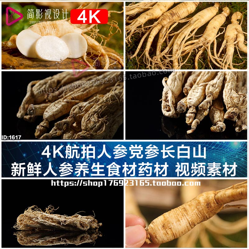 4K人参党参长白山 新鲜人参养生食材药材美食宣传片 视频素材