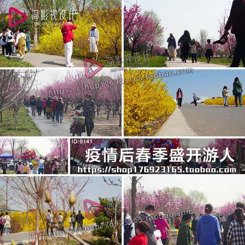 4K 疫情后人民春季鲜花盛开游人赏花实拍pr素材短视频剪辑制作