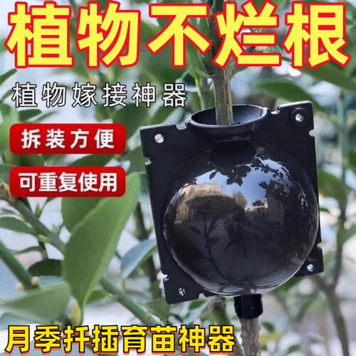 月季扦插育苗神器植物高压盒繁殖生根高空压枝嫁接树木器生根球形