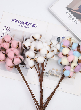 天然木棉花仿真棉花头干花枝插花永生花束DIY摆件装饰圣诞节配饰