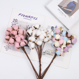 天然木棉花仿真棉花头干花枝插花永生花束DIY摆件装饰圣诞节配饰